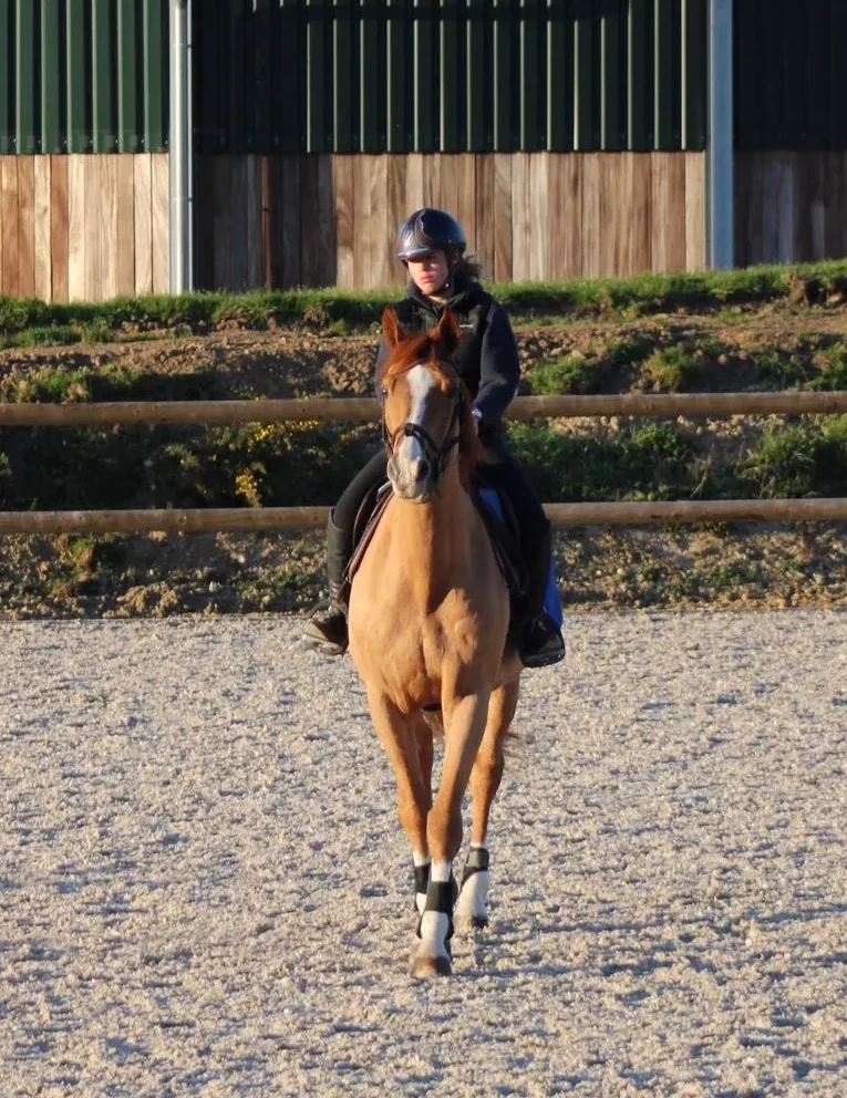 Ecurie de propriétaire Mahalon