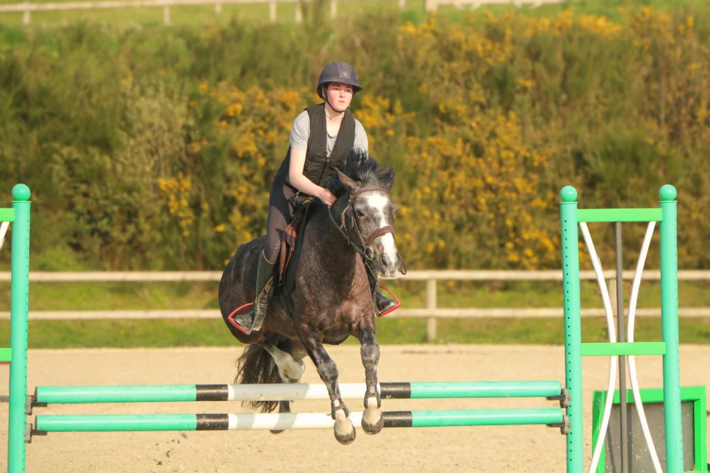 stage au centre équestre de tromelin mahalon dans le finistère sud avec des cavaliers professionnels